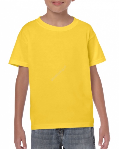 gildan 5000b 